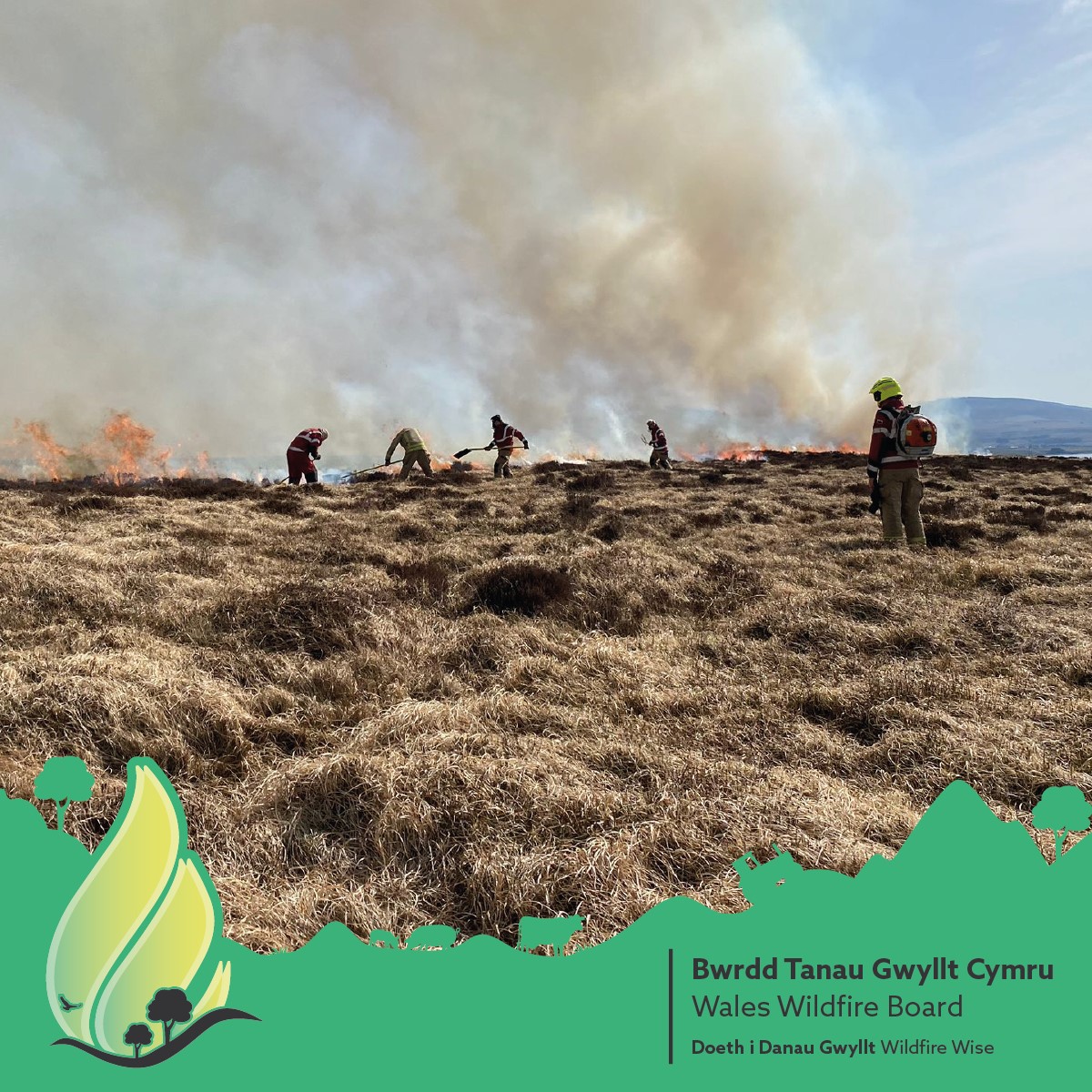 Wales Wildfire Board Logo 