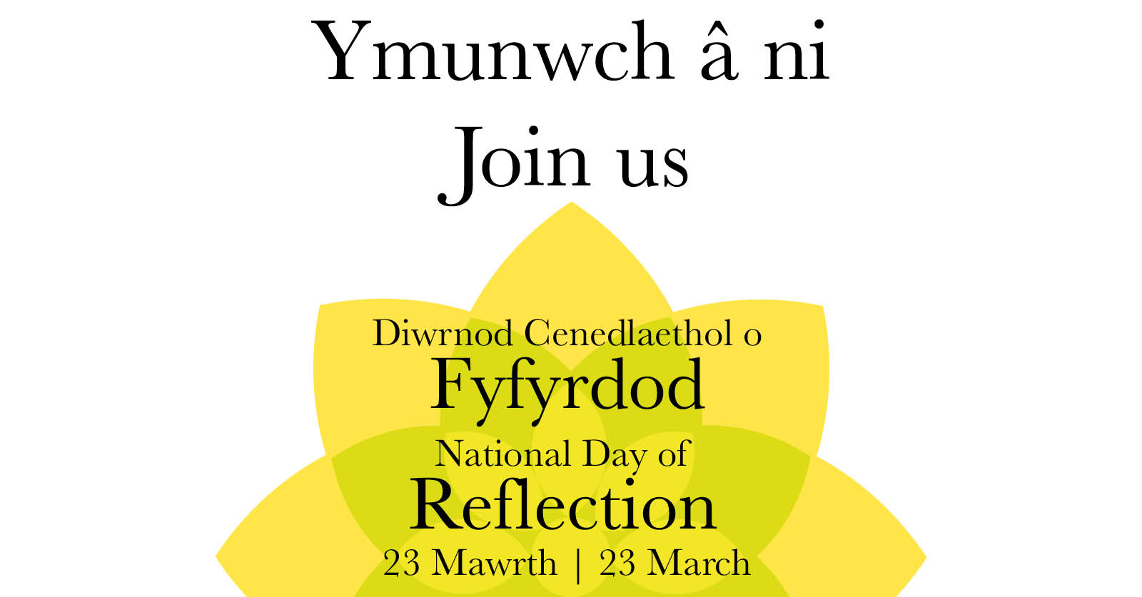 Daffodil | Ymunwch a ni 