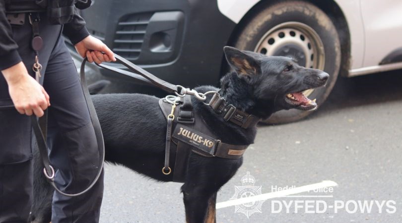 Op Scotney PD Skye ( 1)