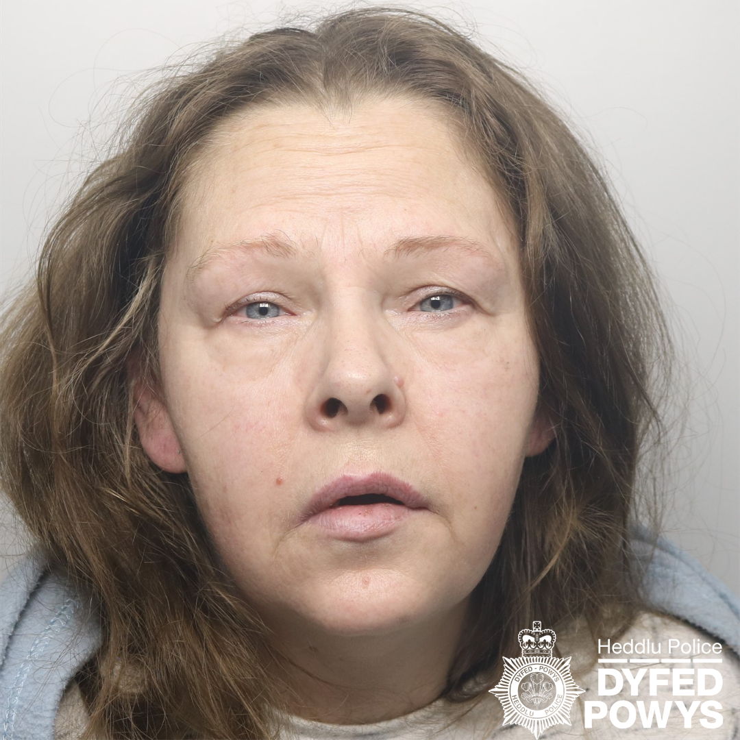 Custody image of Susan Proffitt