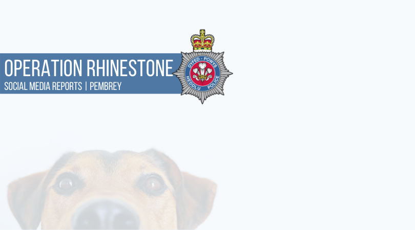 Operation Rhinestone - Social Media Report in Pembrey