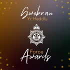 Force Awards Logo