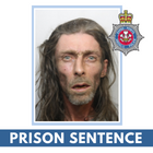 An image of Barry McElroy next to the words 'prison sentence'