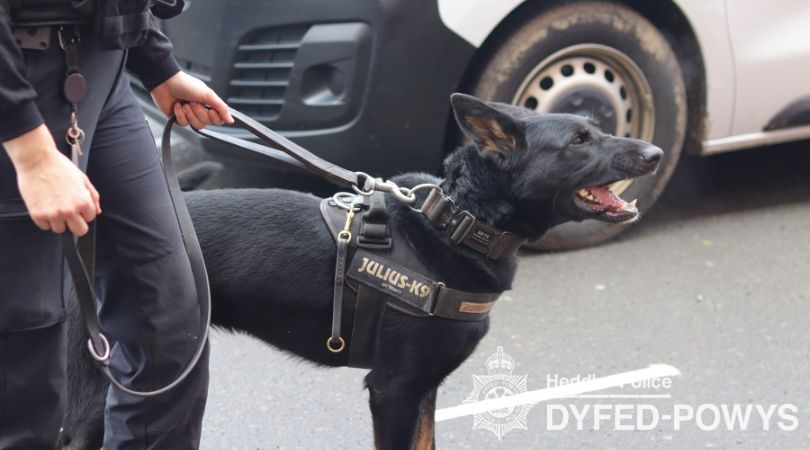 Op Scotney PD Skye ( 1)