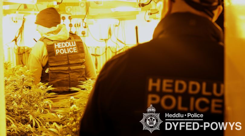 Op Scotney room search