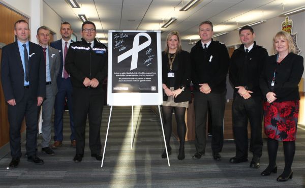 WRD pledge (smaller).jpg