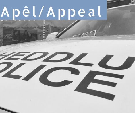 Apêl yr Heddlu yn dilyn digwyddiad yn Llanelli