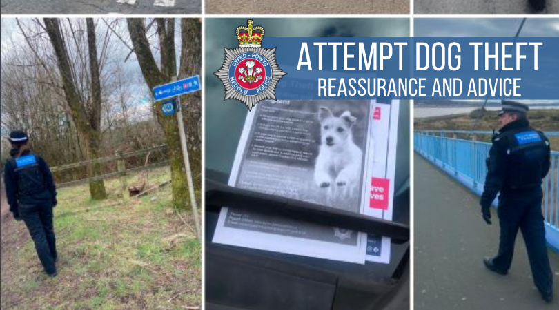 Image of a PCSO on patrol and a dog security advice poster